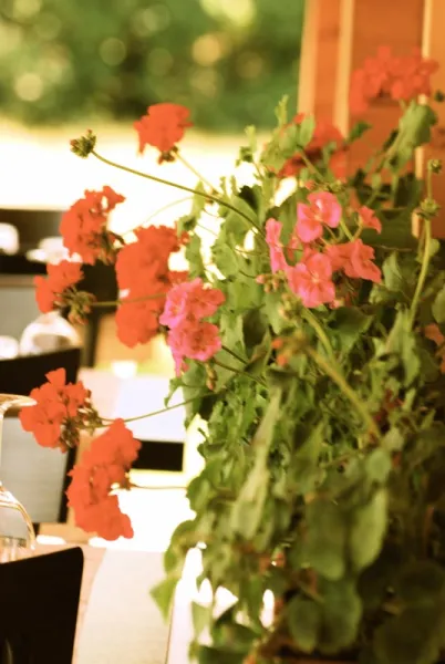 Agriturismo Agrodolce Esterni
