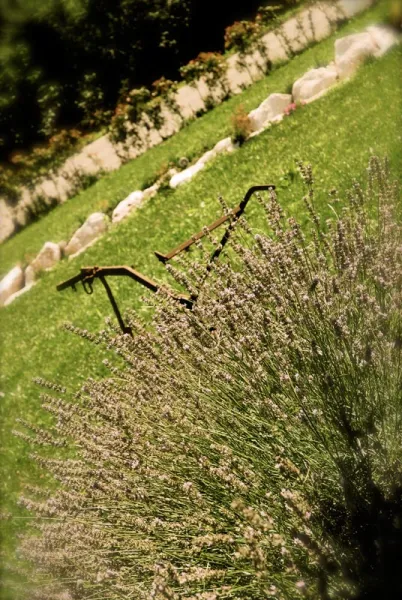 Agriturismo Agrodolce Esterni