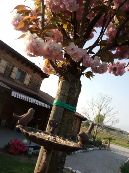 Agriturismo Agrodolce Esterni