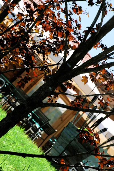 Agriturismo Agrodolce Panoramiche