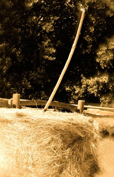 Agriturismo Agrodolce Stalle