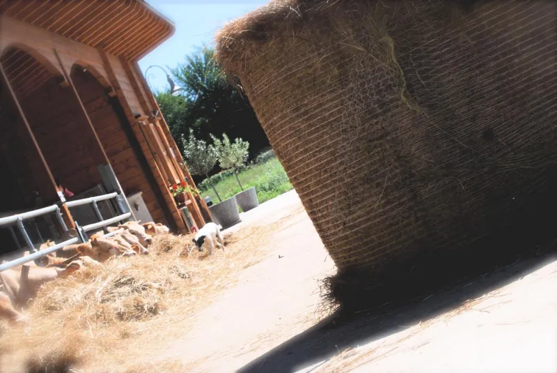 Agriturismo Agrodolce Stalle