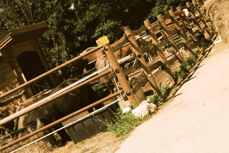 Agriturismo Agrodolce Stalle